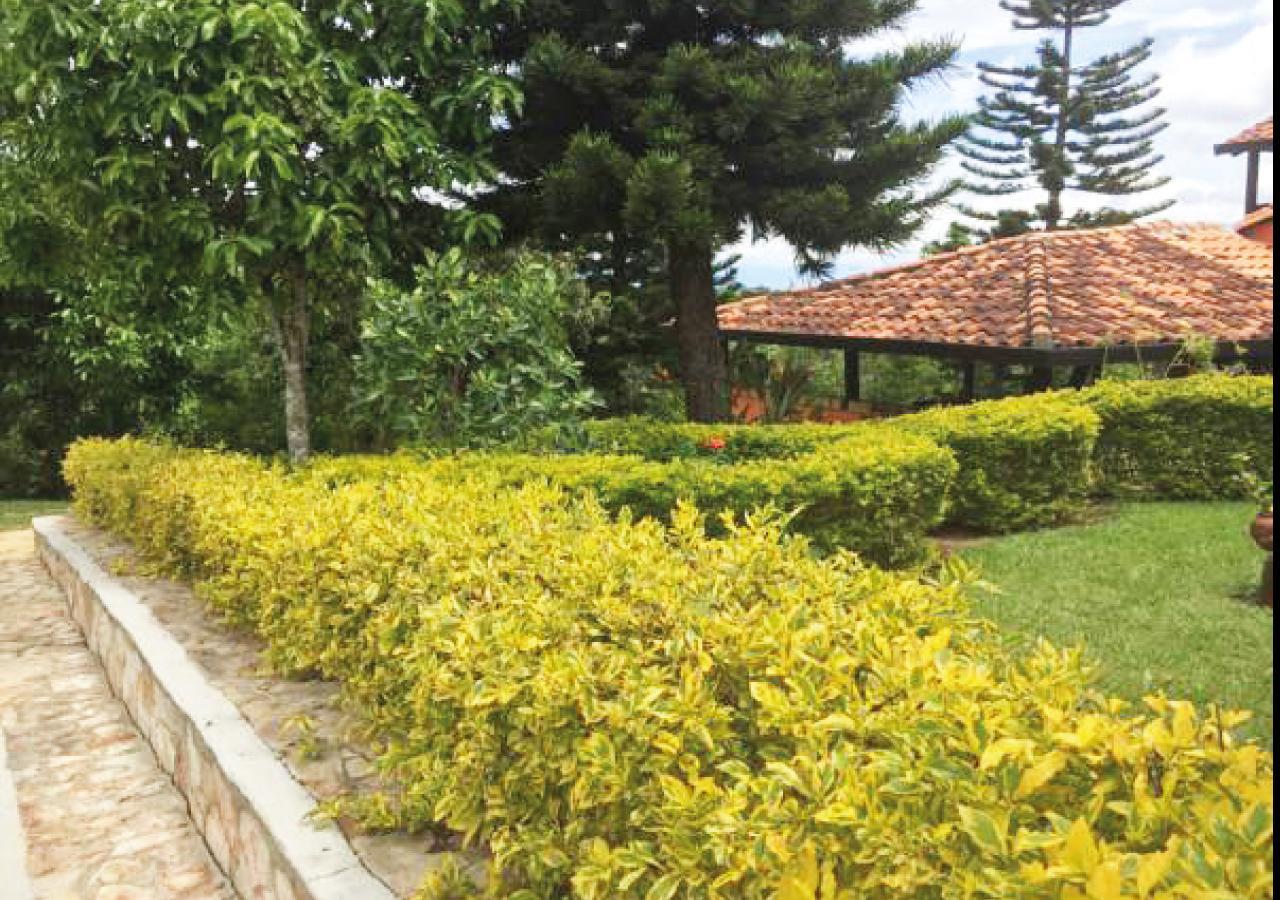 Hotel Cristo Rey Campestre Los Santos  Esterno foto